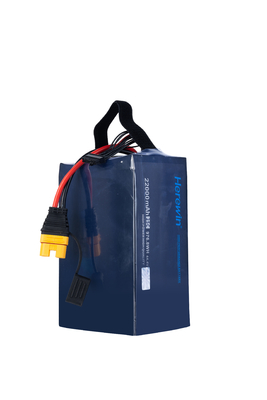 MSDS UN38.3 BIS Herewin 12s Lipo batterijpakket UAV batterij 22Ah 45.6V 25C Fast Charge
